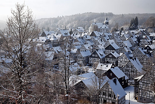老城,冬天,北莱茵威斯特伐利亚,德国,欧洲