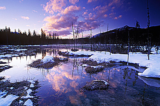 温泉,冬天,不列颠哥伦比亚省,加拿大