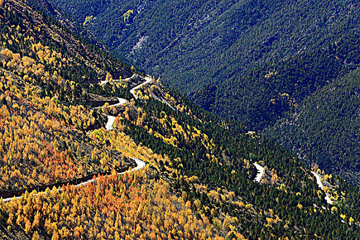 德钦秋天盘山路