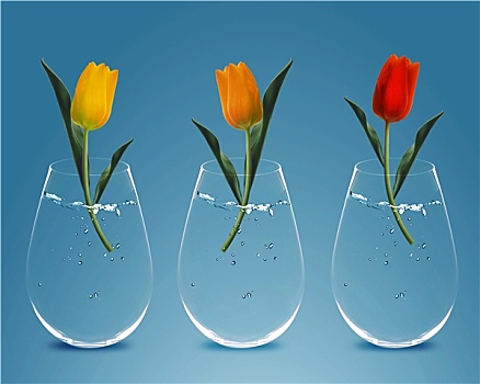 彩色,郁金香,花瓶