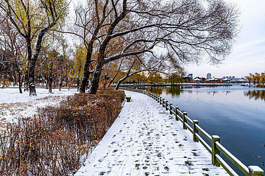 初冬首场雪-中国长春南湖公园冬季风景