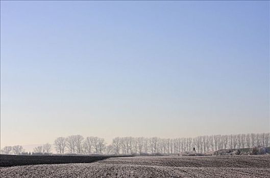 冬季风景,犁地,地点