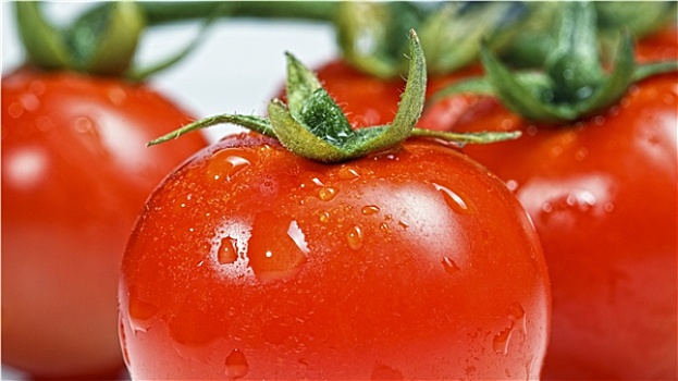 西红柿,新鲜,蔬菜,背景