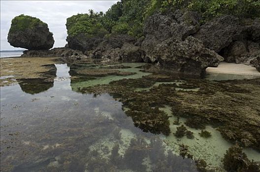 岛屿,棉兰老岛,菲律宾