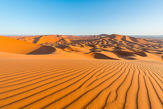 红色,沙丘,沙漠,风景,却比沙丘,梅如卡,撒哈拉沙漠,摩洛哥,非洲