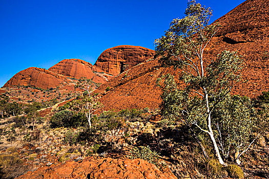 山谷,风,奥加斯石群,卡塔曲塔,乌卢鲁卡塔曲塔国家公园,北领地州,澳大利亚