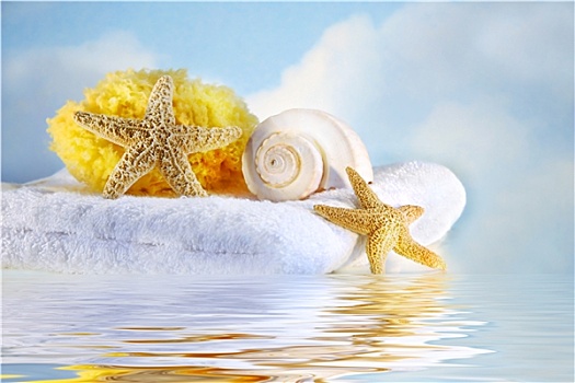 海螺壳,毛巾