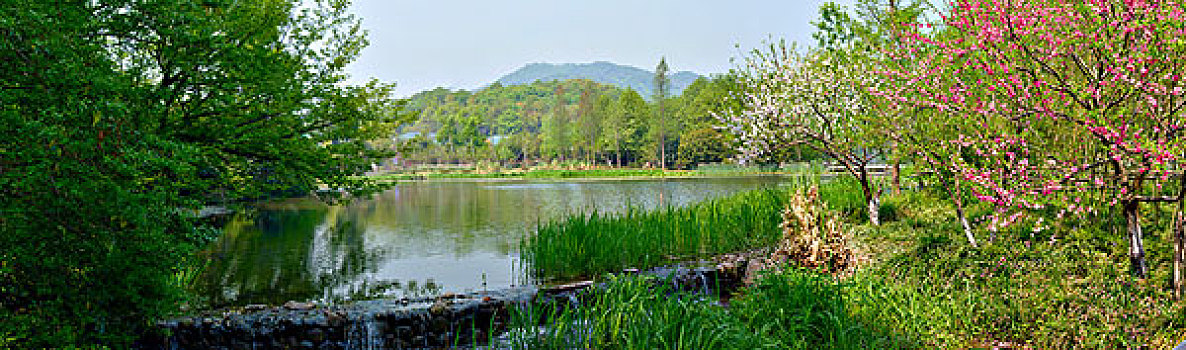 西湖浴鹄湾