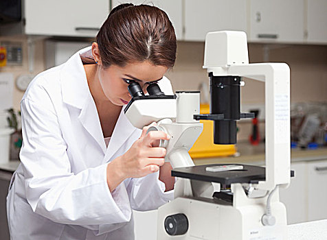 女性,科学,学生,张望,显微镜