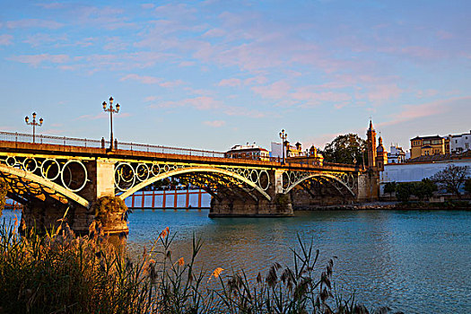 桥,日落,塞维利亚,安达卢西亚,西班牙
