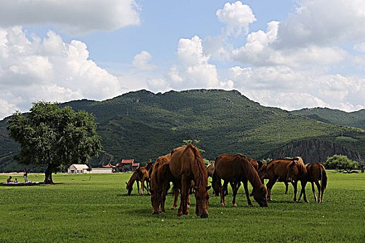 阿尔山