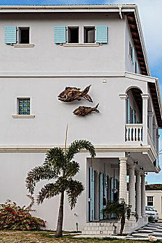 加勒比,安圭拉,侧面视角,酒店