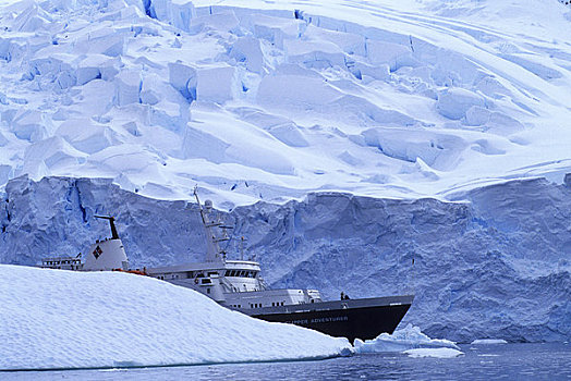 南极,港口,冰河,快船,冒险者