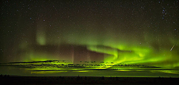 北极光,流星,高处,哈得逊湾,曼尼托巴,加拿大
