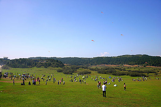 仙女山国家森林公园