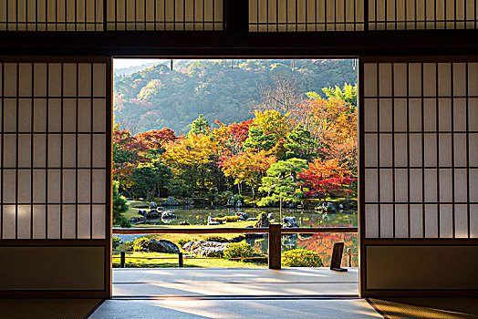 风景,传统,日本,滑动门,秋天,公园