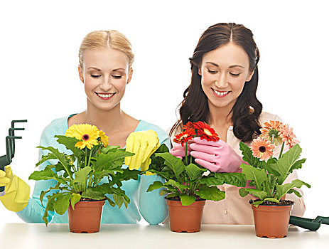 两个,主妇,花,容器,园艺