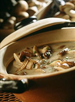 混交林,蘑菇汤