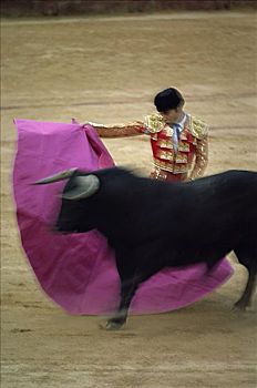 斗牛,西班牙