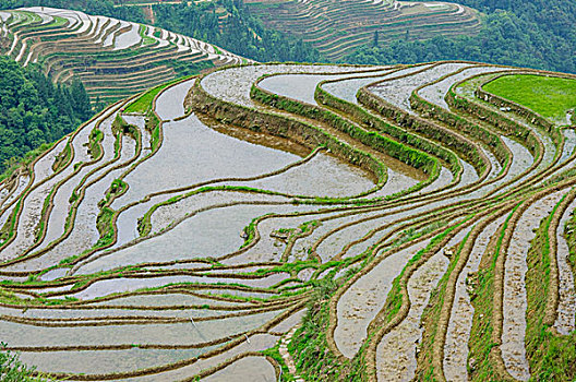 桂林梯田风光