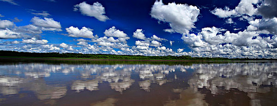 南美,秘鲁,亚马逊河,全景,大幅,尺寸