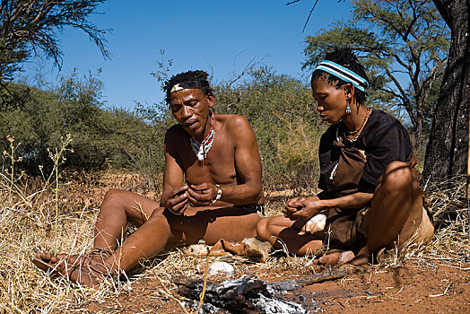 原住民,制作,火,卡拉哈里沙漠,博茨瓦纳,非洲