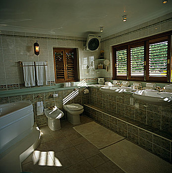 现代,砖瓦,浴室,大,波浪式浴盆,靠近,卫生间,坐便器,两个,水槽,窗户