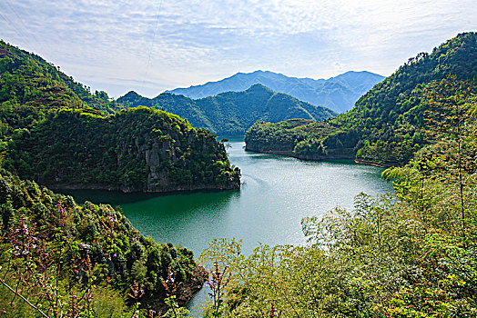 山水,树木,生态