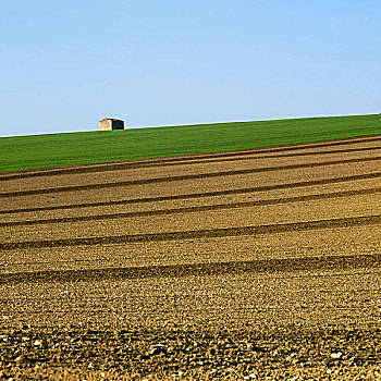 农业,风景