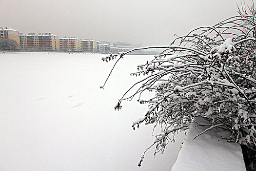 雪后北戴河