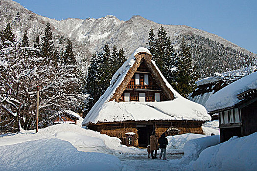 传统,住房,冬天,白川乡,岐阜,日本,亚洲