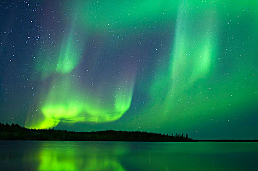 北极光,北方针叶林,耶洛奈夫,加拿大西北地区,加拿大