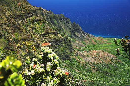 夏威夷,考艾岛,纳帕利海岸,远眺,卡拉拉乌谷,海洋