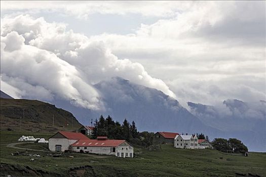 农场,云,山峦,南方,海岸,冰岛,大西洋