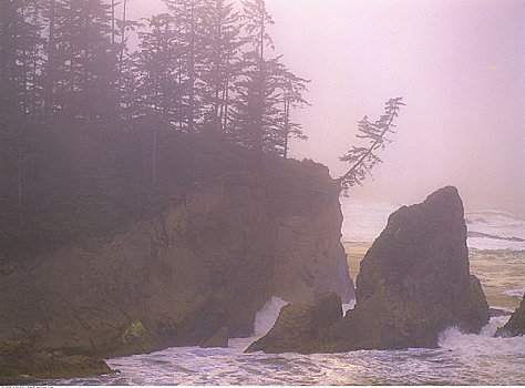 海岸线,俄勒冈,美国