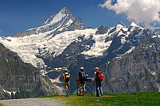 远足者,看,信息,正面,山,修雷克宏峰,格林德威尔,冰河,伯恩高地,瑞士,欧洲