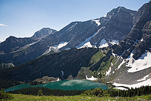 高山湖,围绕,山,雪,上面,野花,草地,蓝天,卡纳纳斯基斯,省立公园,艾伯塔省,加拿大