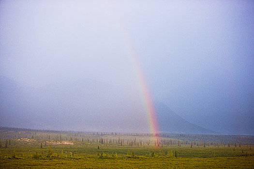 彩虹,上方,苔原,积雨云,模糊,山峦,远景,阿拉斯加