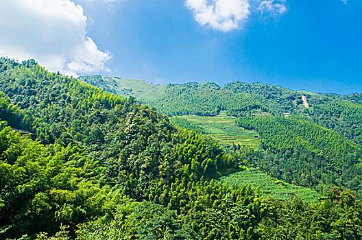 山岭风光