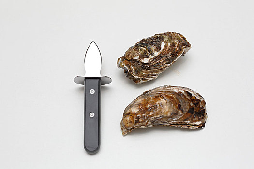 刀,牡蛎