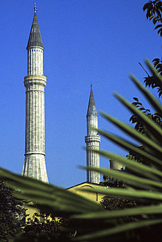 土耳其,伊斯坦布尔,棕榈叶,尖塔,索菲亚,背景