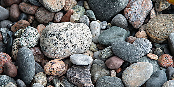 特写,鹅卵石,波特兰,溪流,格罗莫讷国家公园,纽芬兰,拉布拉多犬,加拿大