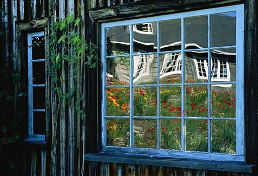 窗户,悬崖,新布兰斯维克,加拿大