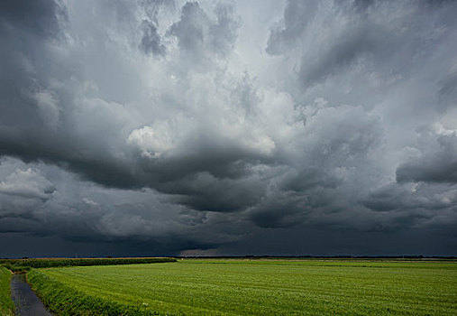 雷暴,上方,玉米,草地,北布拉邦,荷兰