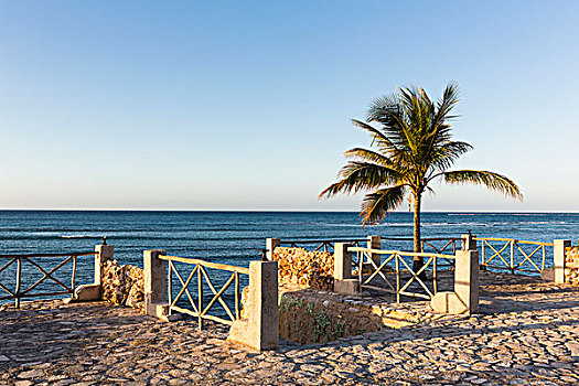 一个,棕榈树,围栏,风景,海洋,日落,奥尔金省,省,古巴,大安的列斯群岛,加勒比