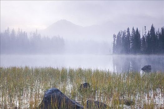 雾,上方,湖,日出,威勒米特国家公园,俄勒冈,美国