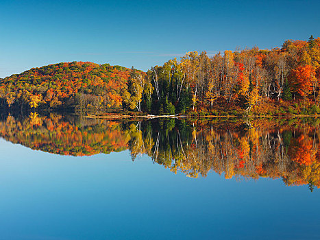 彩色,秋日树林,反射,湖,省立公园,安大略省,省,加拿大,北美