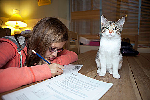 女孩,学习,猫,桌上