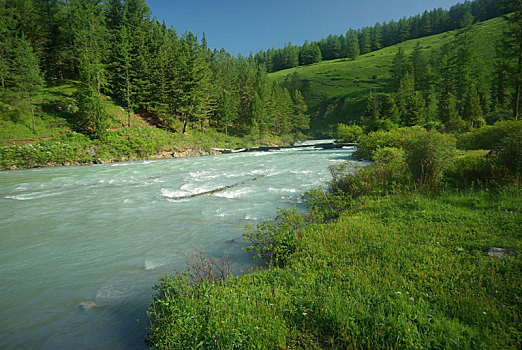 山,河,水流,峡谷,石头,岩石,陆地,靠近,漂亮,山景