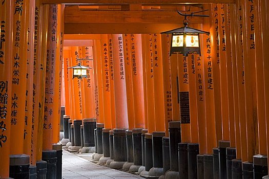 红色,大门,伏见稻荷大社,神祠,京都,日本